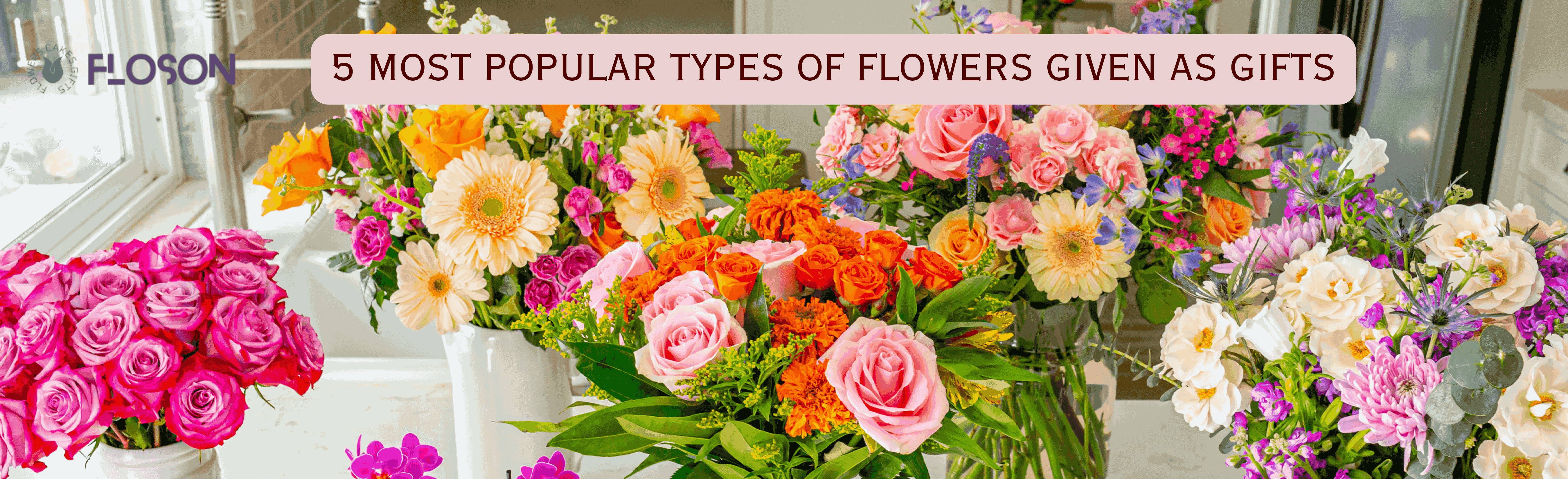 5 Most Popular Types of Flowers Given as Gifts