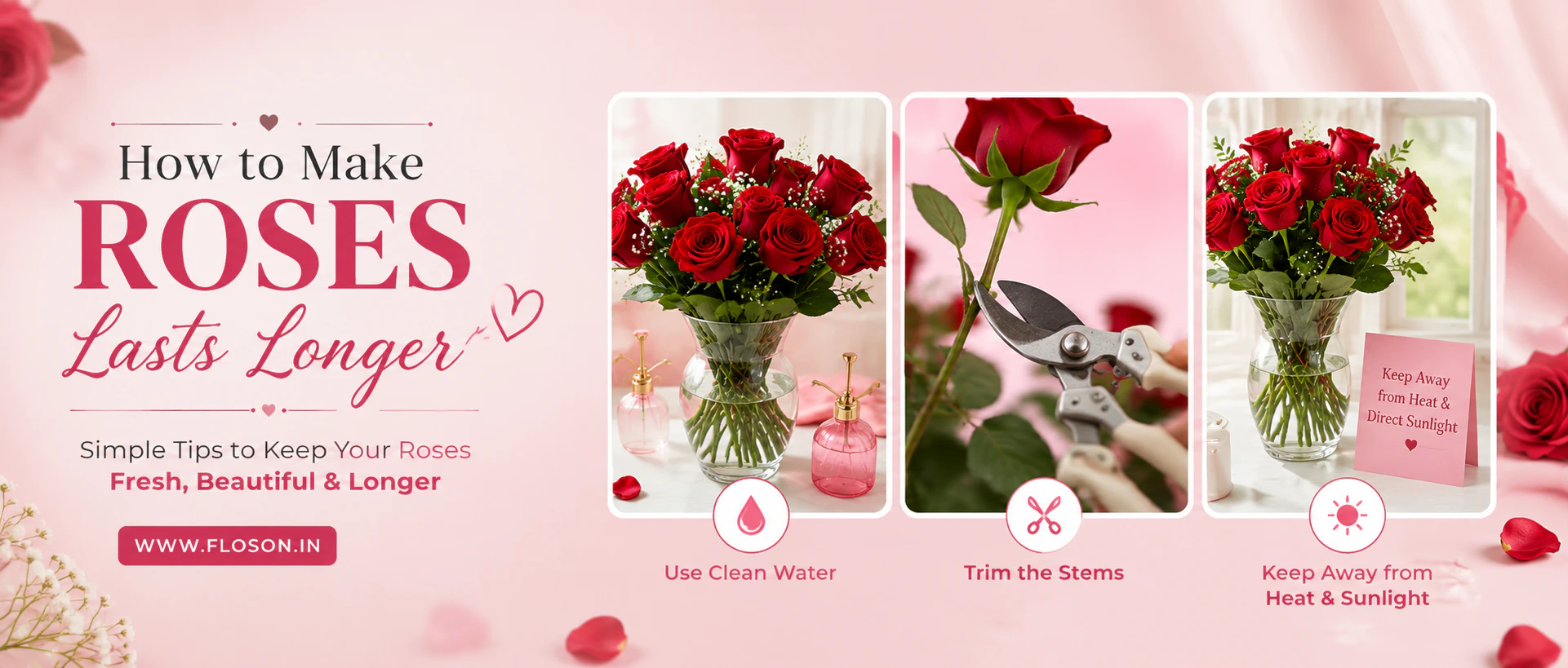 How to make roses lasts longer? How to make roses lasts longer?