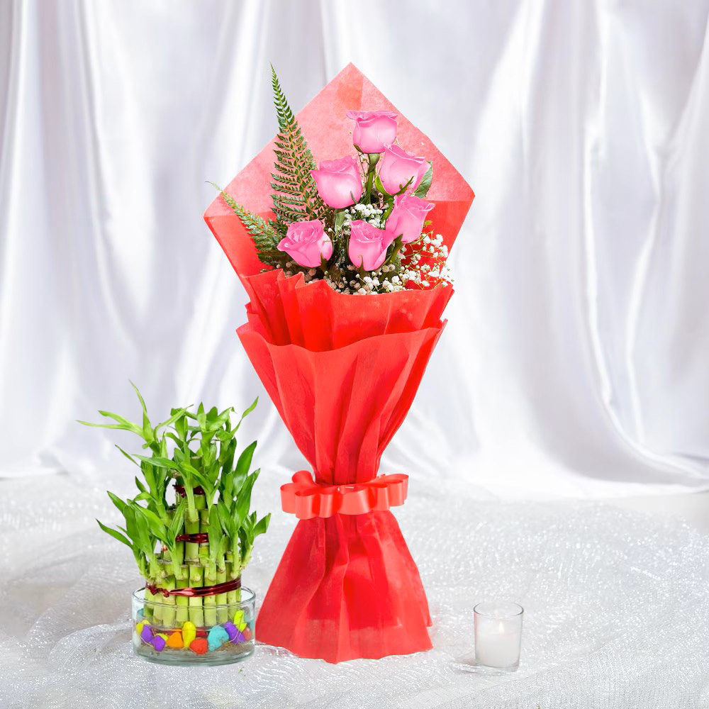 Blushing Pink Roses & Lucky Bamboo Combo