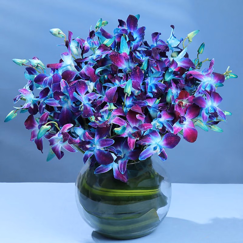 Blue Orchid Fish Bowl Arrangement