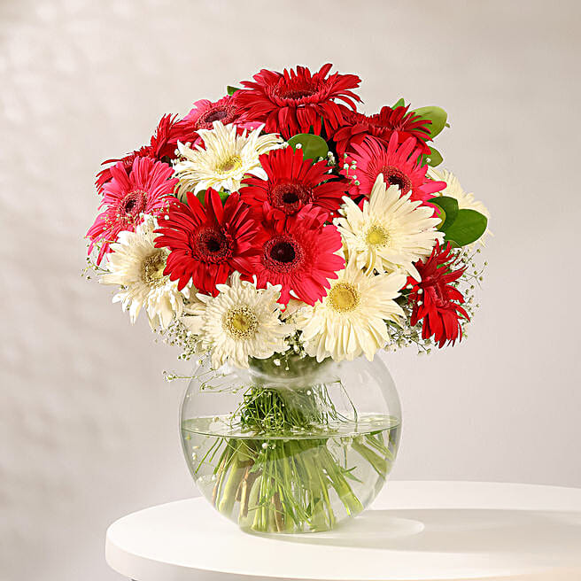 Gerbera Harmony Vase Arrangement