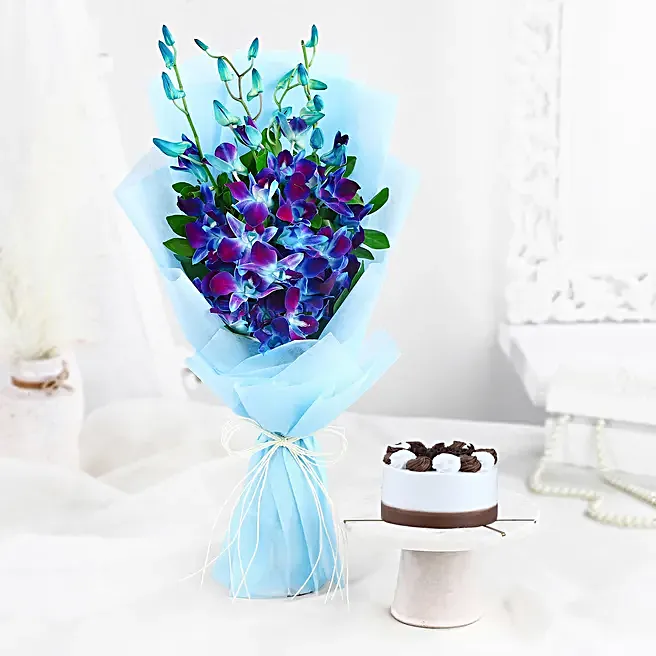 Blue Orchid Bento Combo