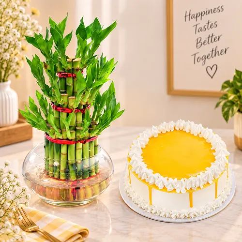 3 Layer Bamboo with Cake