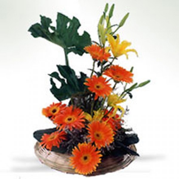 Lilies & Gerberas