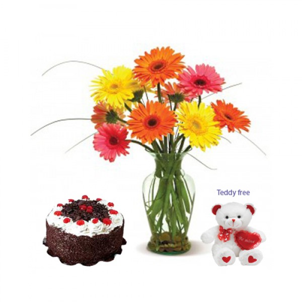 Gerbera with teddy cake