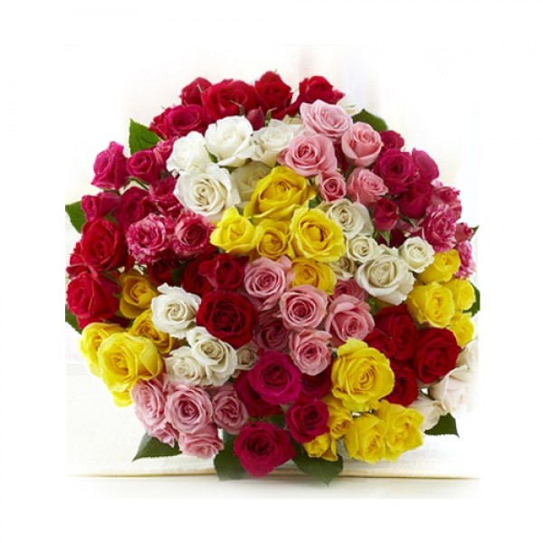 200 Mix Roses