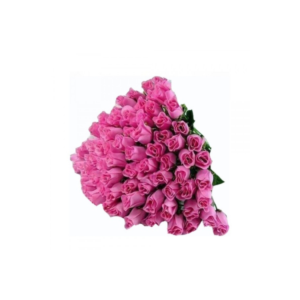 100 Pink Roses