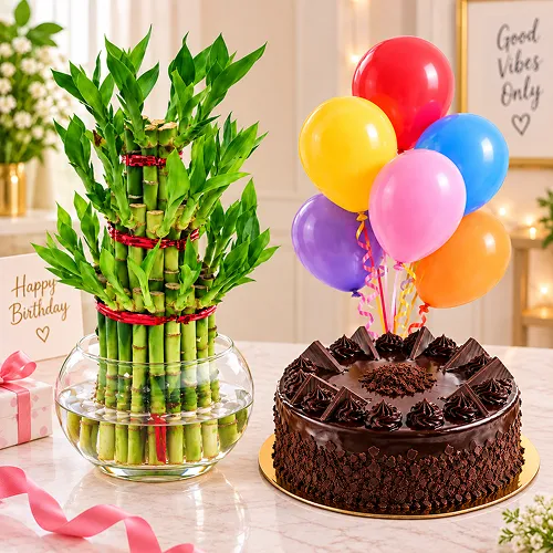 Bamboo Plant with Choco