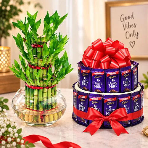Bamboo Plant with Dairy Milk