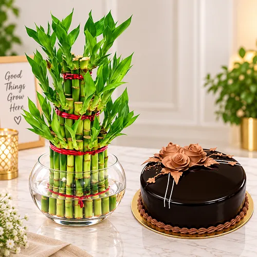 Bamboo cake delight