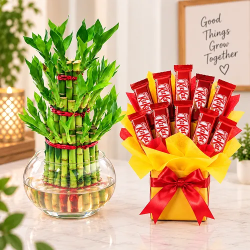 Chocolate Treat with Lucky Bamboo