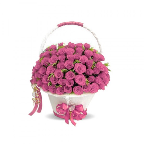 Rose Bloom Rose Bloom