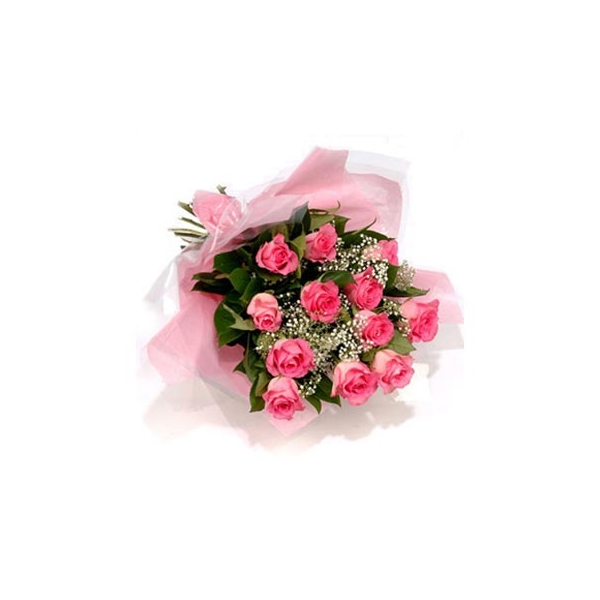 Pink Beauty