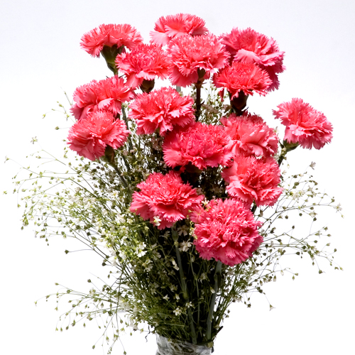 Tickled Pinks