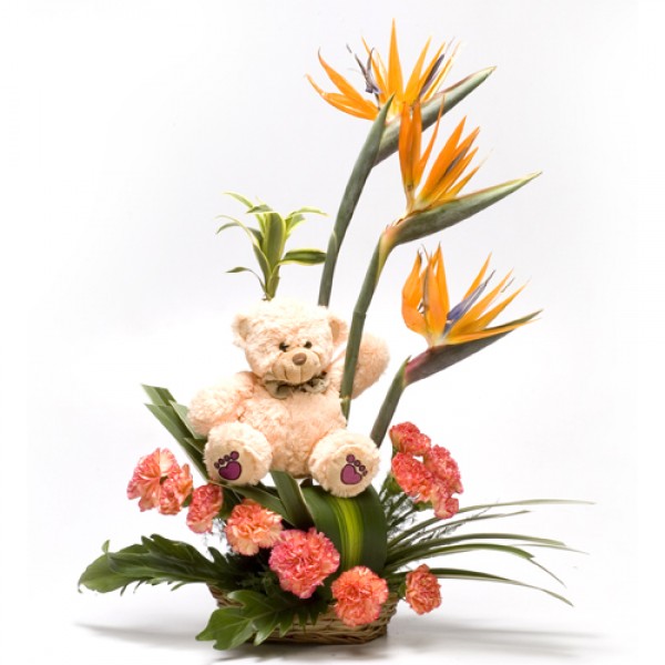 Freesia Zest