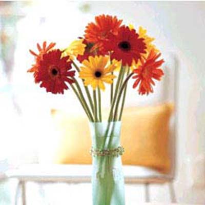 Brighten the day