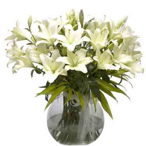 White Lily in Vase White Lily in Vase
