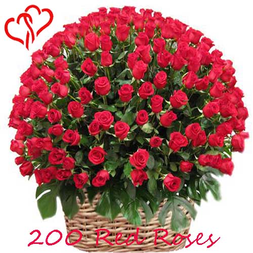 200 Red Roses Basket 200 Red Roses Basket