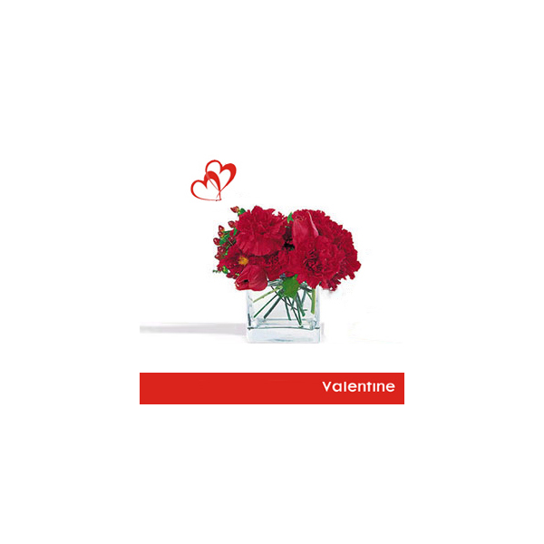Valentine Carnations with love