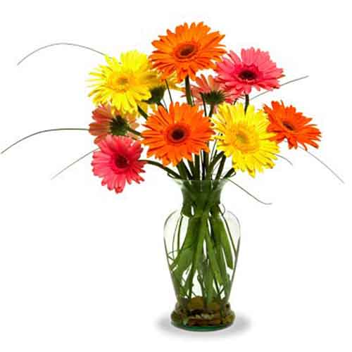 Gerbera Vase