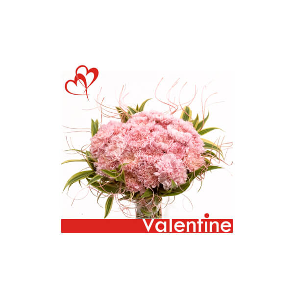 Lost in Pink- Valentine Eve