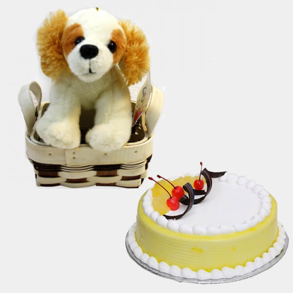 Soft toys with Cake