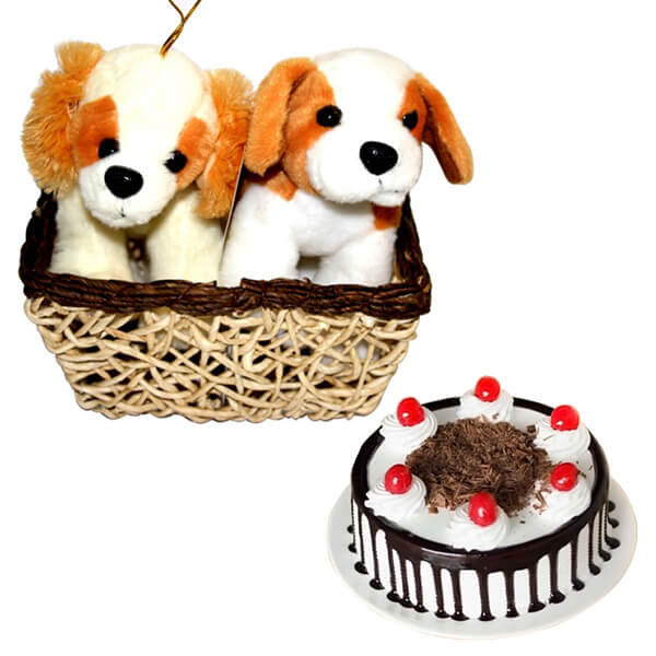 The royal gift surprise