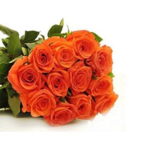 Orange Roses Bunch