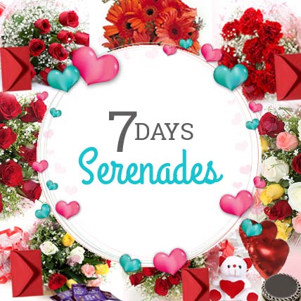 7 DAYS SERENADE