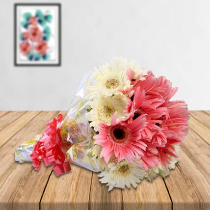 Scarlet Friendship