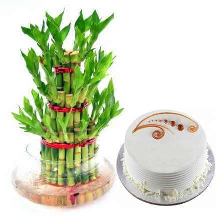 Terrific bamboo combo