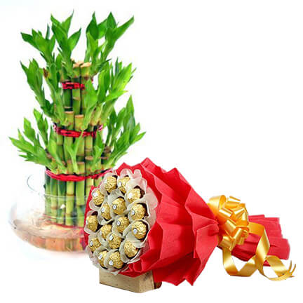 Choco Lover and Bamboo Lover
