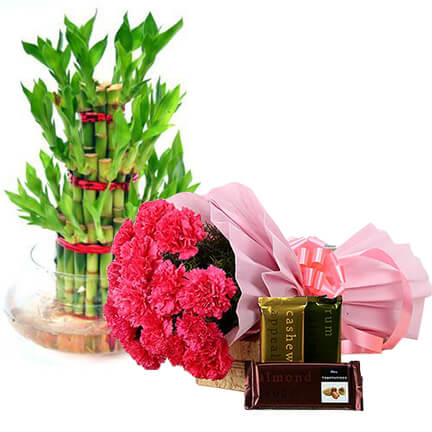 Blush Happiness with Bamboo Plant