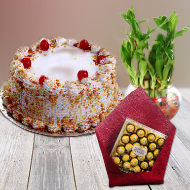 Enlighten Gift