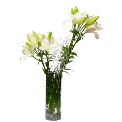 Lilies Love