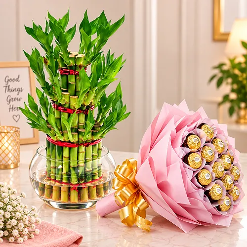 Luxury Bamboo Gift