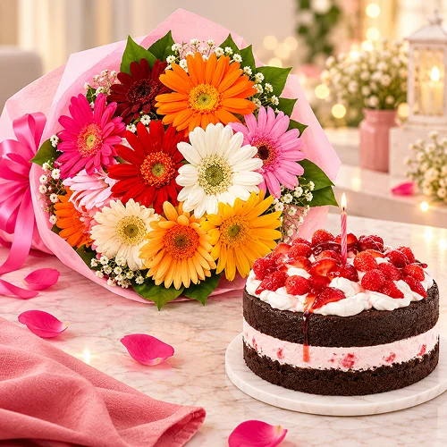 Mix Gerberas N Cake Mix Gerberas N Cake