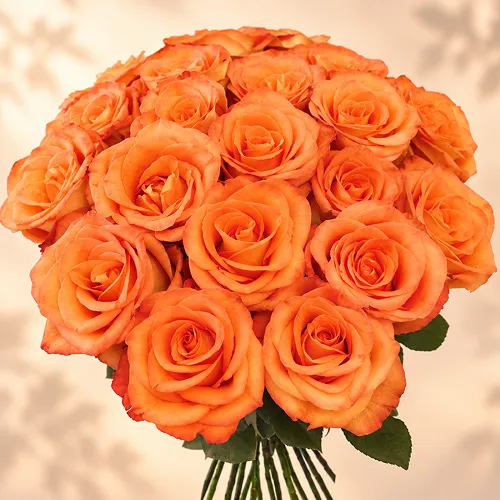 Orange roses bouquet Orange roses bouquet
