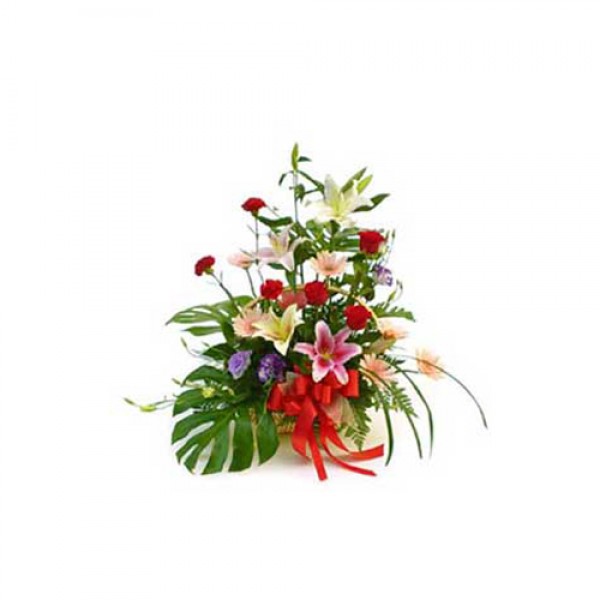 Beautiful Arrangement