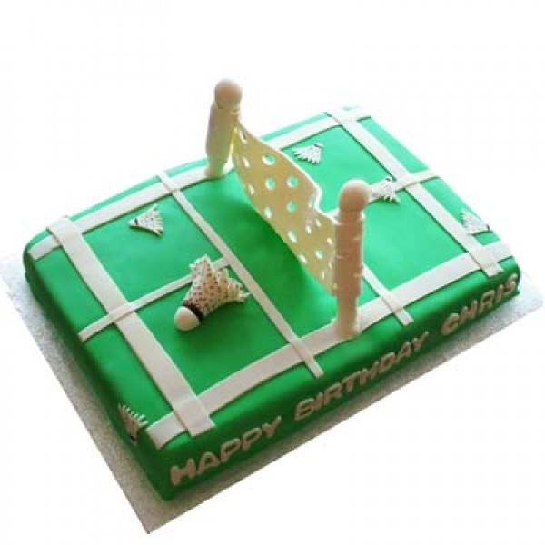 Smashing Badminton Court Cake Smashing Badminton Court Cake