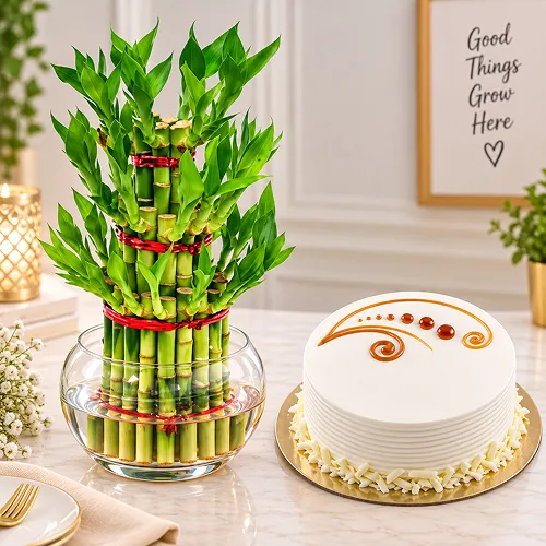 Terrific Bamboo Combo
