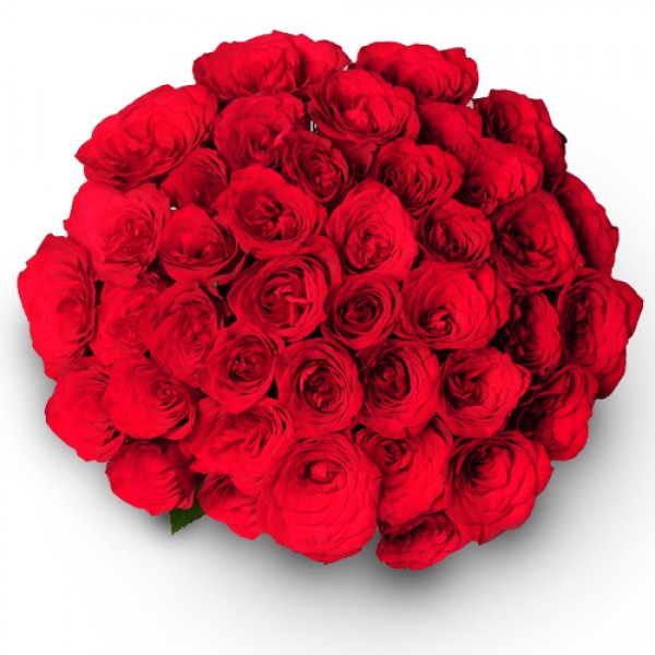 You are My Love -VL