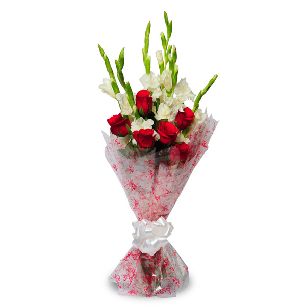 Beauty of Red and White-VL