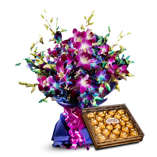 Richness Unveiled-VL