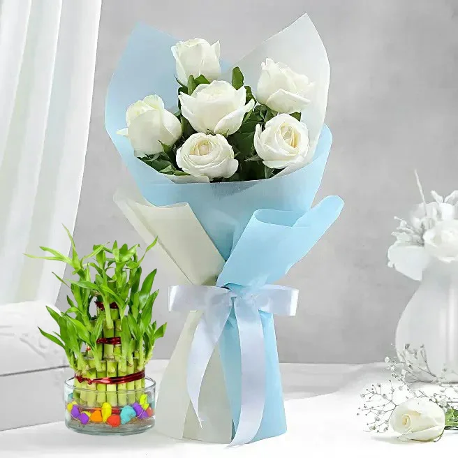 White Roses & Lucky Bamboo Combo