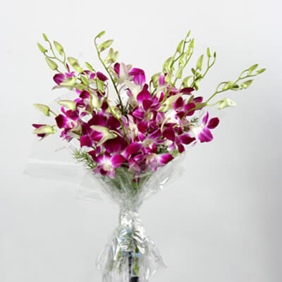 Exotic Orchids Exotic Orchids