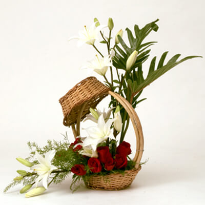 Fragrant Glow Fragrant Glow