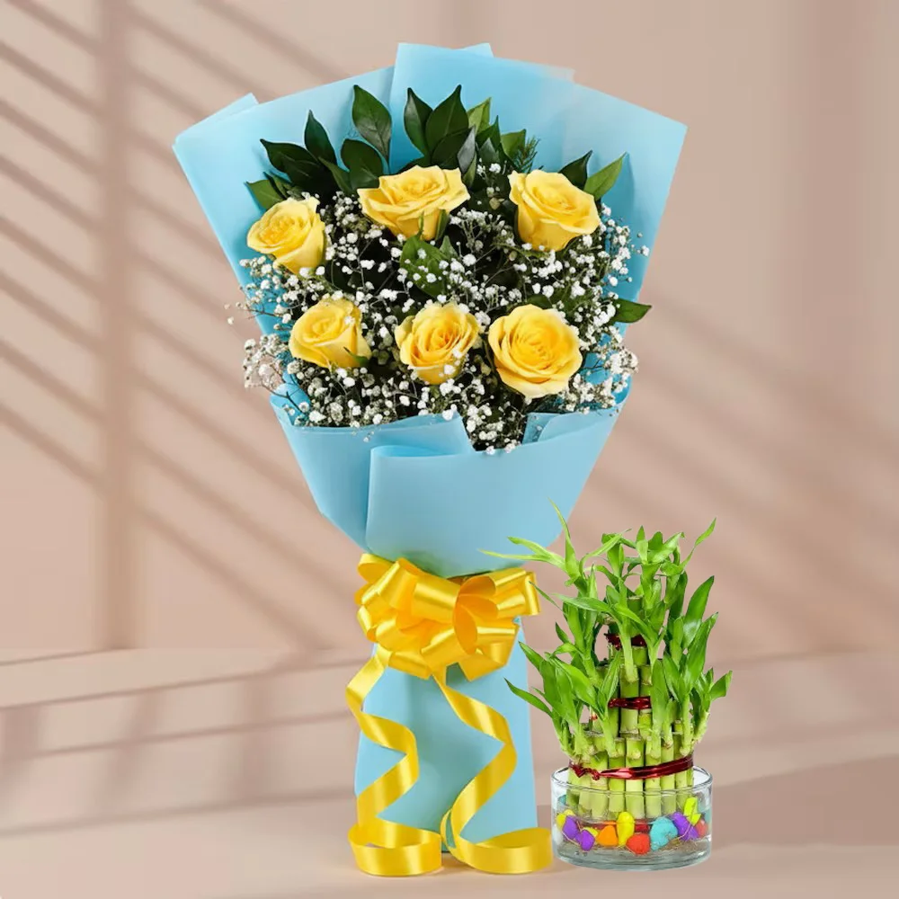 Yellow Roses & Lucky Bamboo Combo