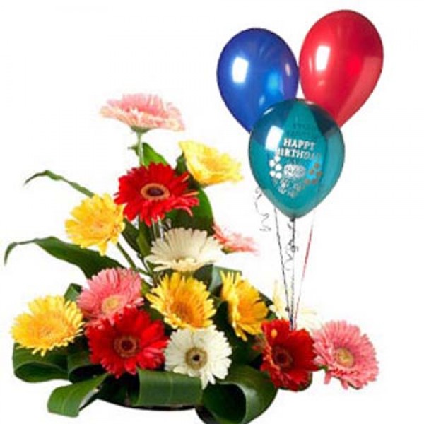 Gerbera and Balloons