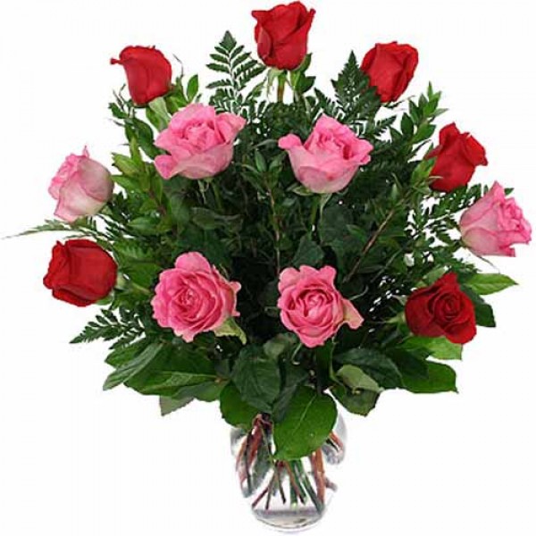 Love for Rose Love for Rose